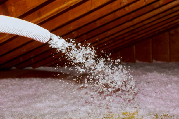 Best Blown-In Insulation  in Crete, IL